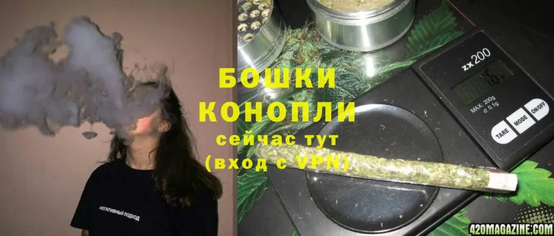 Шишки марихуана OG Kush  Георгиевск 